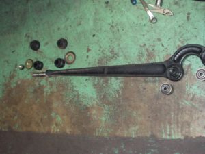 レンジローバー　ブッシュ類の写真